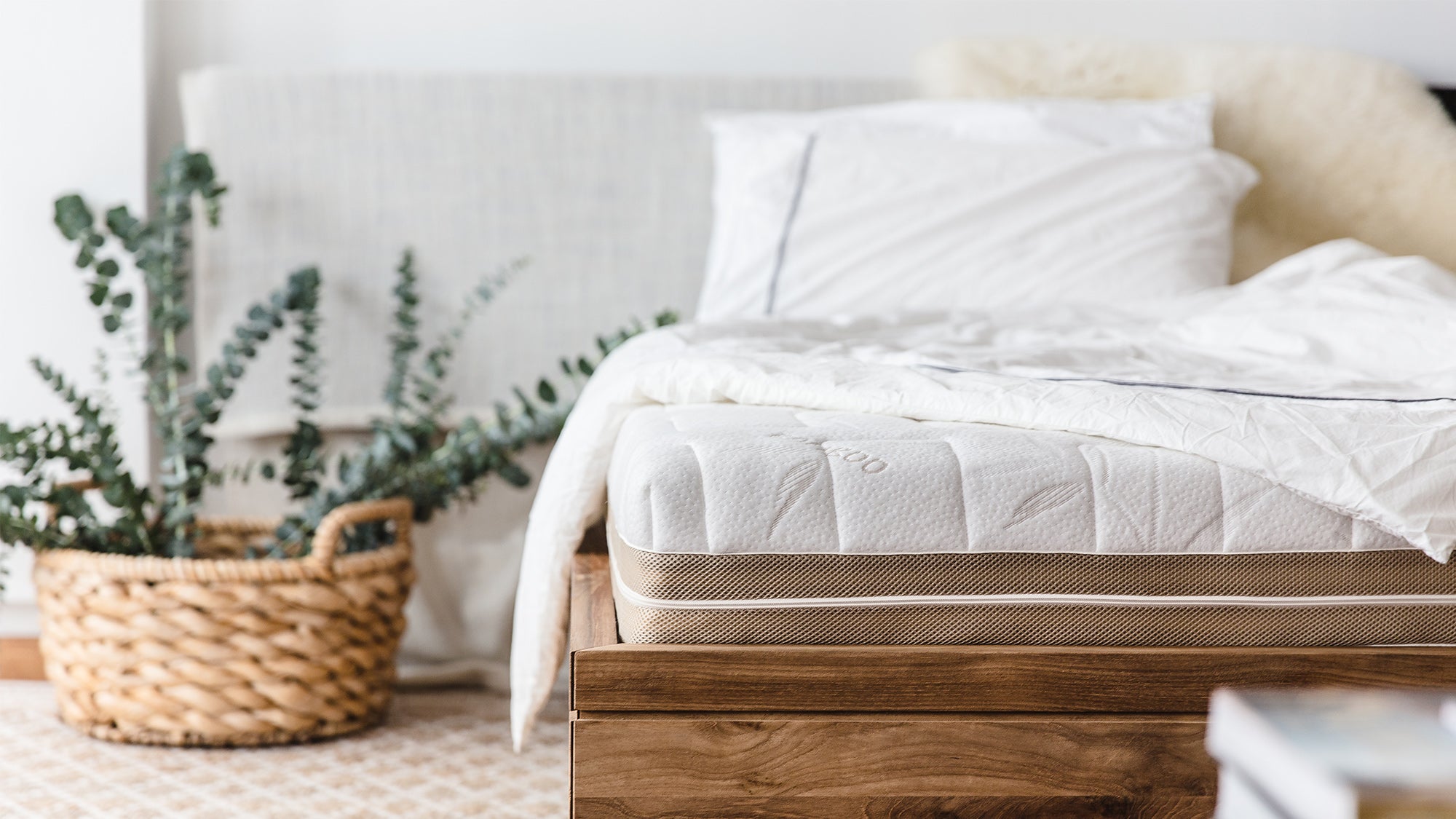 Mattress Buying Guide Hong Kong