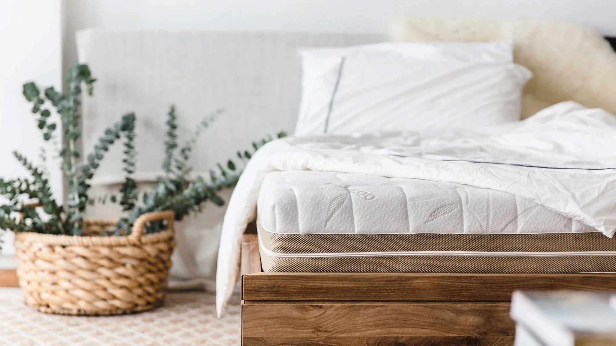 How to Keep Your New Latex Mattress in Tip-top Condition