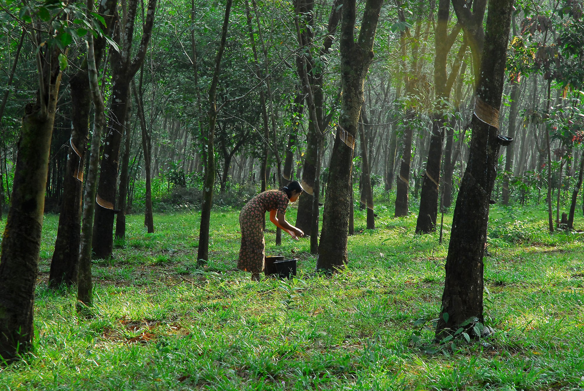 Your guide to living a more sustainable life at home in 2023